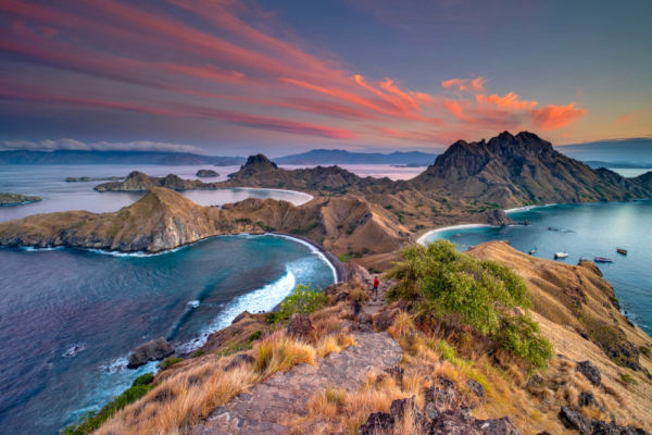image_search_1740186208954