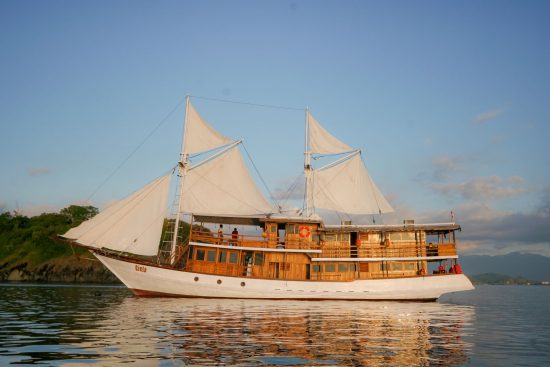 image_search_1738902768371